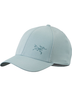 Кепка Arcteryx Bird Cap