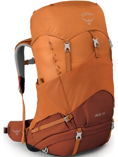 Рюкзак Osprey Ace 38
