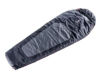 Спальник Deuter Dream Lite 500